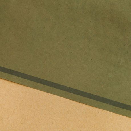 Крафт бумага Дарите Счастье "Пантон. Пыльный зеленый", односторонняя, 50 х 70 см