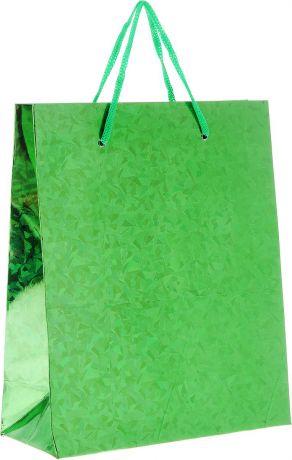 Пакет подарочный Magic Home "Зеленый глянец", 19 x 22 x 8 см