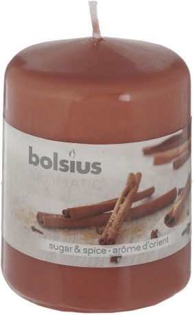 Свеча ароматическая Bolsius "Пряность", 6 х 6 х 7,3 см