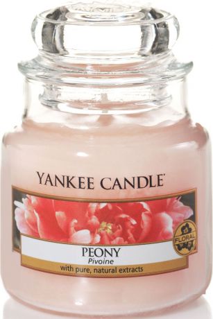 Ароматическая свеча Yankee Candle "Пион / Peony", 25-45 ч