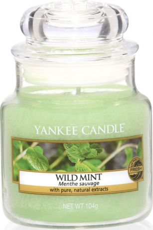Ароматическая свеча Yankee Candle "Дикая мята / Wild Mint", 25-45 ч