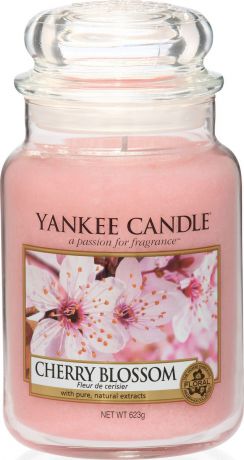 Ароматическая свеча Yankee Candle "Цветущая вишня / Cherry Blossom", 110-150 ч