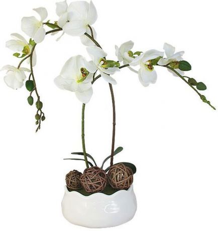 Цветы декоративные Dream Garden "Орхидея белая", на подставке, 16 х 16 х 36 см