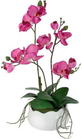Декоративные цветы в вазе Dream Garden "Орхидея бордо", 30 х 17 х 42 см