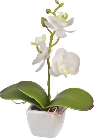 Цветы декоративные Engard "Орхидея", в кашпо, 5 х 5 х 18 см