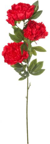 Цветы искусственные Engard "Пион", цвет: бордовый, 105 см