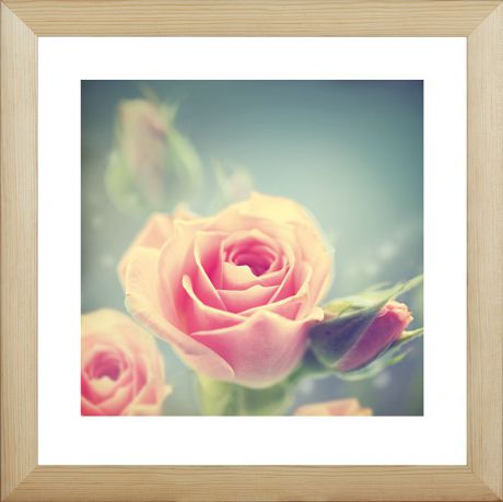 Картина Postermarket "Розовые розы", 40 х 40 см. MC-46