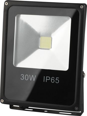 Прожектор ЭРА LPR-30-6500К-М (10/240)