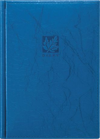 Erich Krause Ежедневник Scribble недатированный 176 листов цвет синий