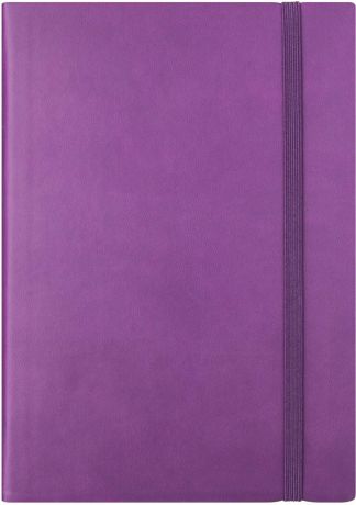 Ежедневник Index Spectrum 2019, датированный, формат А5, фиолетовый, 336 страниц
