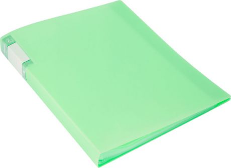 Бюрократ Папка с файлами Gems А4 60 листов цвет светло-зеленый 1014864
