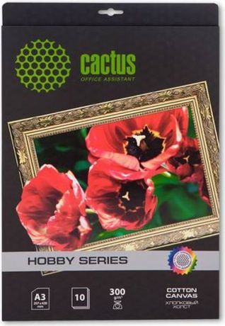 Cactus CS-СA326010 A3/300г/м2 холст для струйной печати (10 листов)