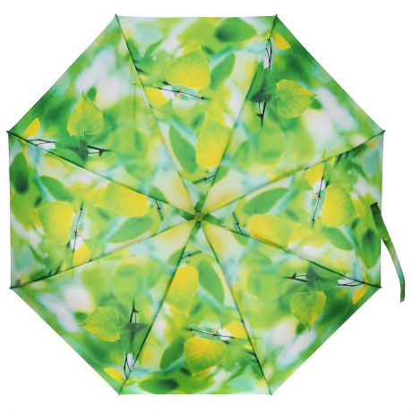 Зонт женский "Zest", автомат, 3 сложения, цвет: салатовый. 23815-2281