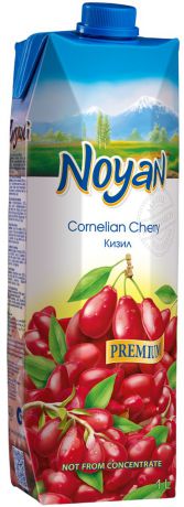 Noyan Кизиловый нектар Premium, 1 л.