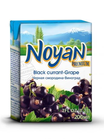 Нектар черная смородина-виноград Noyan Premium, 200 мл