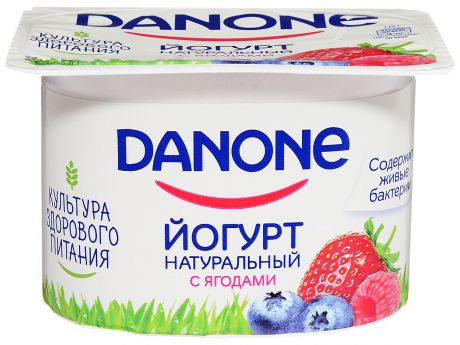 Danone Йогурт густой Лесные ягоды 2,9%, 110 г