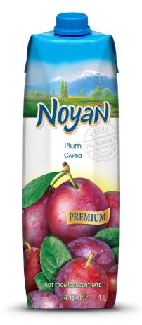 Нектар Noyan Premium Сливовый, 1 л