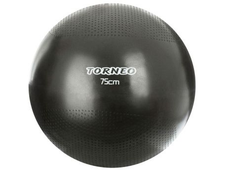 Мяч гимнастический "Torneo", с насосом, цвет: черный, 75 см