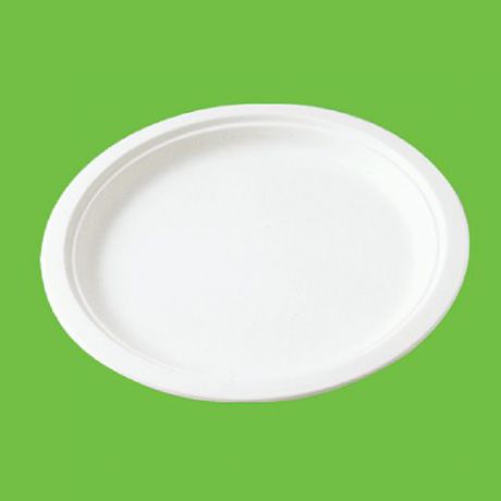 Набор тарелок "Gracs", биоразлагаемых, с бортиком, цвет: белый, диаметр 26 см, 10 шт