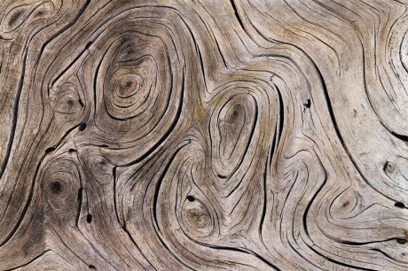 Фотообои Milan "Текстура дерева", текстурные, 200 х 135 см. M 622