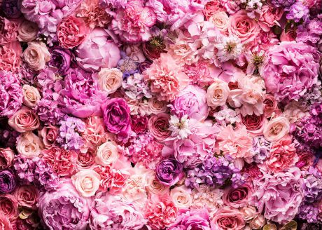 Фотообои PosterMarket "Розовые цветы", 254 x 184 см