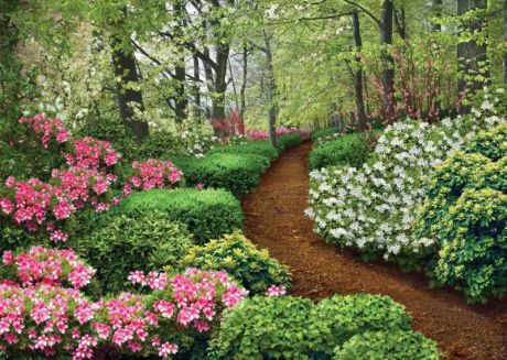 Фотообои Твоя Планета "Premium. Весенний сад", 8 листов, 272 х 194 см