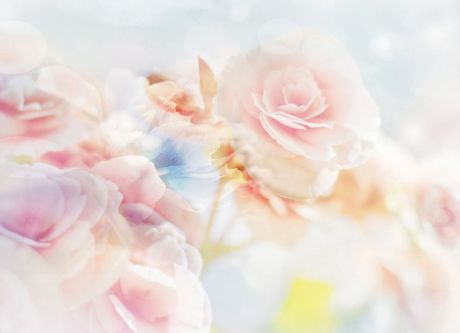 Фотообои Postermarket "Романтические цветы", 254 x 184 см