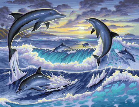 KSG Картина по номерам Дельфины