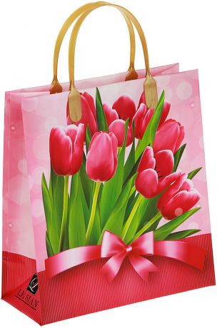 Пакет подарочный "Букет тюльпанов", цвет: розовый, зеленый, 23 х 10 х 26 см. 2980228