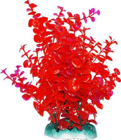 Растение для аквариума Уют "Бакопа красная", высота 20 см