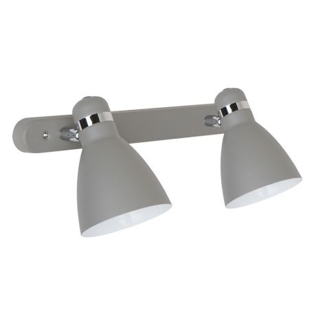 Настенно-потолочный светильник Arte Lamp A5049AP-2GY, серый