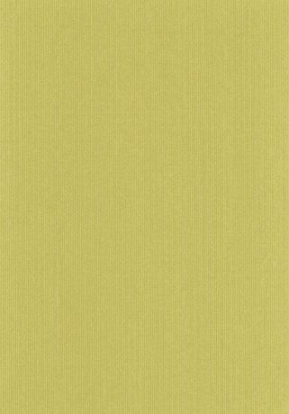 Бумага упаковочная Stewo "Uni Natura", цвет: оливковый, 0,7 х 2 м