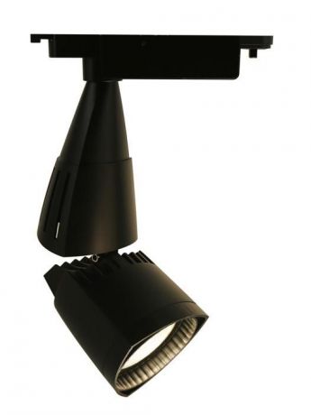 Настенно-потолочный светильник Arte Lamp A3830PL-1BK, черный