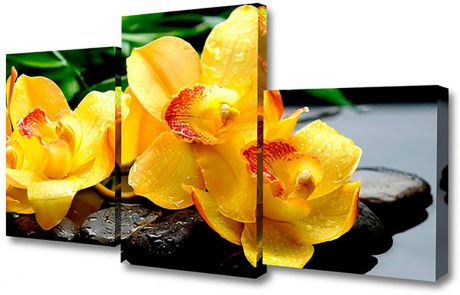 Картина Topposters Желтые орхидеи на камнях, модульная, 886651, 80 х 50 см