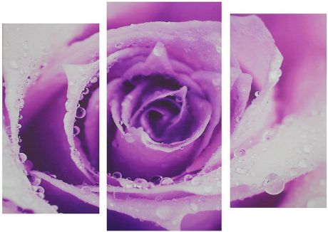 Картина Сюжет "Роза", модульная, 1259769, 60 х 100 см
