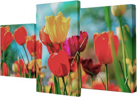 Картина Topposters Тюльпаны, модульная, 886653, 50 х 80 см