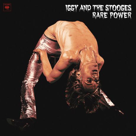 Iggy Pop, The Stooges. Rare Power (LP)