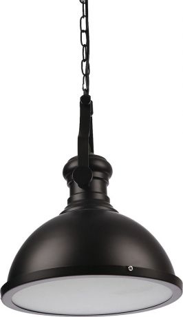 Подвесной светильник BayerLux Цех, E27, 60W, 3621688, черный, 31 х 31 х 40 см
