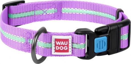 Ошейник для собак Waudog Nylon, светонакопительный, фиолетовый, ширина 2,5 см, длина 35-58 см