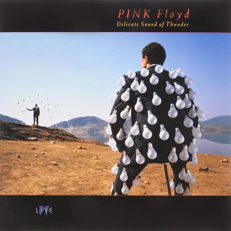 "Pink Floyd" Pink Floyd. Delicate Sound Of Thunder (2 LP)