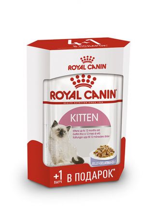 Корм консервированный Royal Canin Kitten, для котят в возрасте с 4 до 12 месяцев, в желе, 5 шт по 85 г