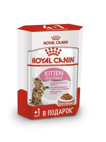 Корм консервированный Royal Canin Kitten Sterilised, для стерилизованных котят, в соусе, 5 шт по 85 г