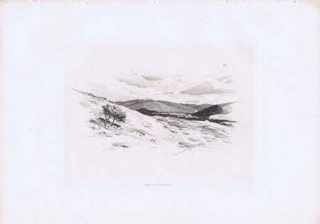 Гравюра Шарль Аман-Дюран Шотландия. Река Твид. Куст. Гелиогравюра. Шотландия, Эдинбург, 1884 год