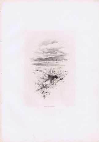 Гравюра Шарль Аман-Дюран Шотландия. Река Твид. Исток. Гелиогравюра. Шотландия, Эдинбург, 1884 год
