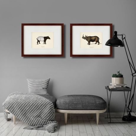 Картина Картины В Квартиру Коллекция Malayan Tapir and Rhinoceros (из 2 х картин), Бумага