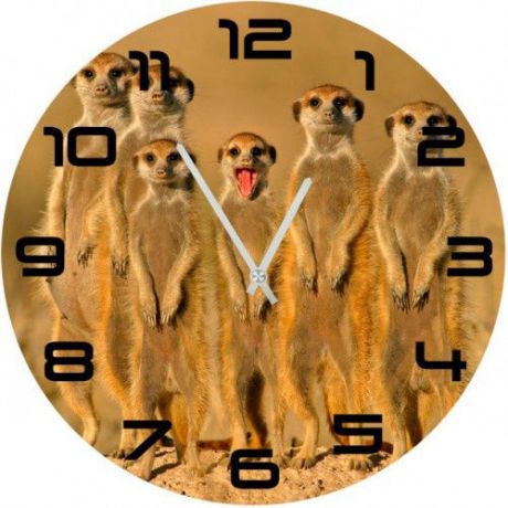 Настенные часы Kitch Clock 4502501