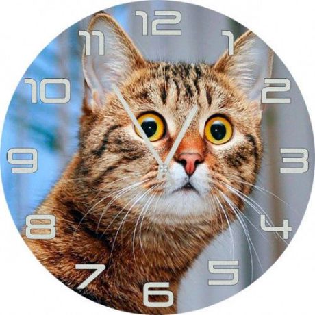 Настенные часы Kitch Clock 4502513