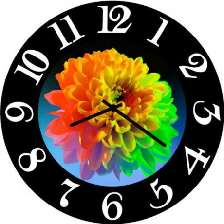 Настенные часы Kitch Clock 5502604