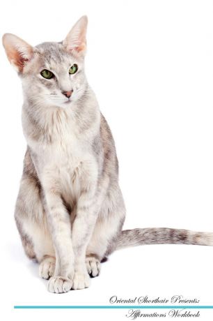 Live Positivity Oriental Shorthair Affirmations Workbook Oriental Shorthair Presents. Positive and Loving Affirmations Workbook. Includes: Mentoring Questions, Guidance, Supporting You.
