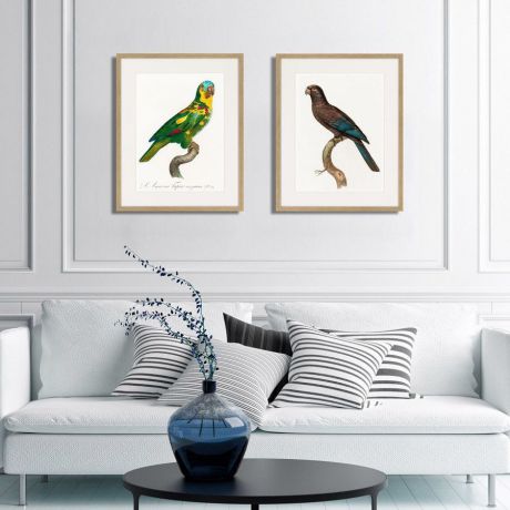 Картина Картины В Квартиру Коллекция Beautiful parrots №4 (из 2-х картин), Бумага
